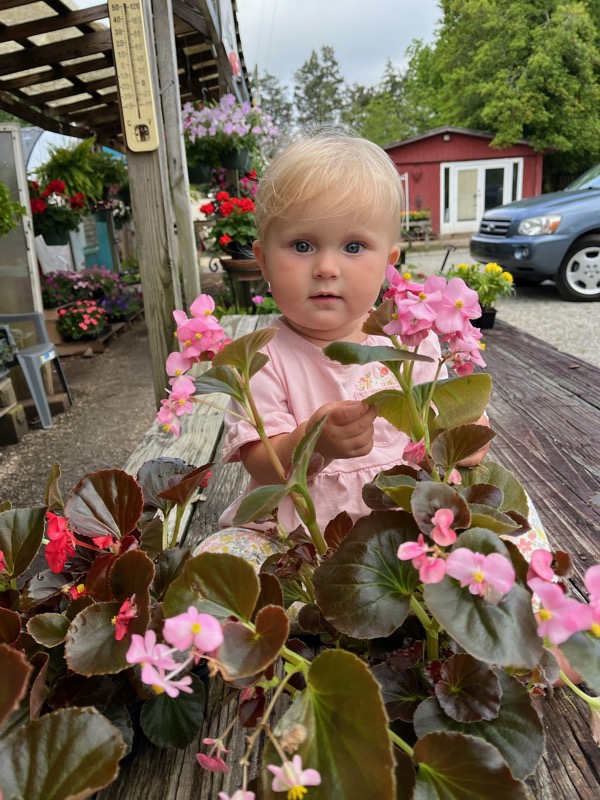 Child among begonia flats in front of Doris Greenhouse in Greenwood, SC